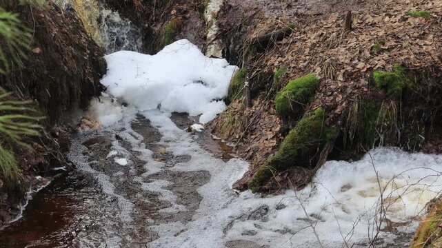 Streams full of water in the forests of northeastern Europe from melting snow on a sunny day in mid-April