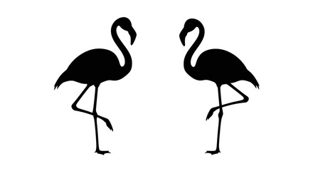 Fototapeta premium Two elegant flamingos standing gracefully a striking black silhouette