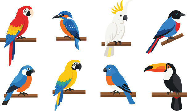 Colorful tropical bird vector set with parrot toucan cockatoo and exotic species perched illustration collection isolated design