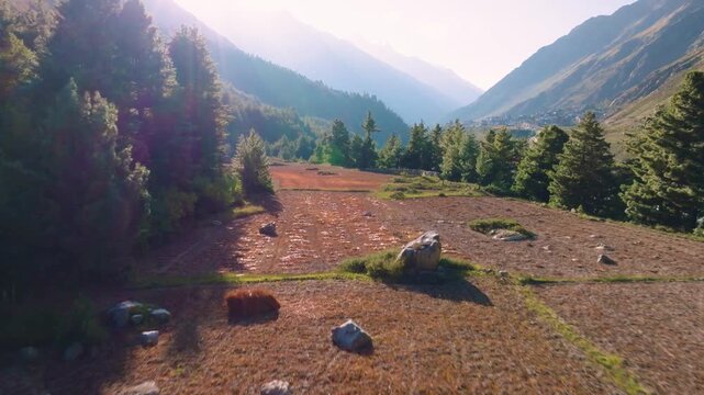 Aerial view of Deforestration for agricultural land-use change in the Himalayas, India