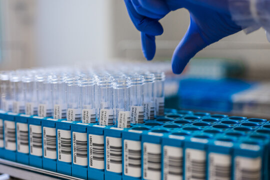 Closeup Hand Selecting Labeled Tube From Rack, Focused View On Careful Grip, Barcode Labels, Gloved Fingers,