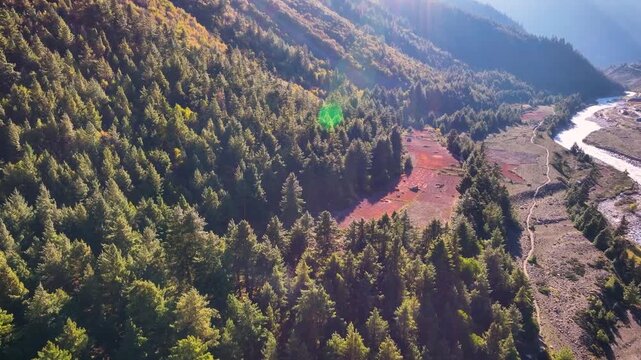 Aerial view of Deforestration for agricultural land-use change in the Himalayas, India