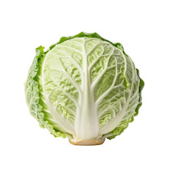 Fototapeta premium Fresh green cabbage on a white background, perfect for illustrating healthy eating