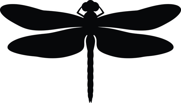 dragonfly silhouette vector