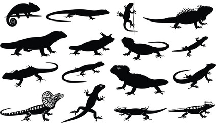 Vector illustration of diverse lizard silhouettes including chameleons, iguanas, geckos and reptiles in varied poses © Creative Stoker