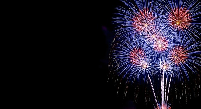Blue and red fireworks exploding in night sky