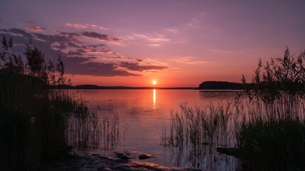 Naklejka premium Pink and orange sunset across lake with marsh vegetation foreground