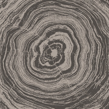 A seamless brown wooden backdrop featuring an old textured tree ring pattern and spiral timber surface structure for a natural macro nature wallpaper design