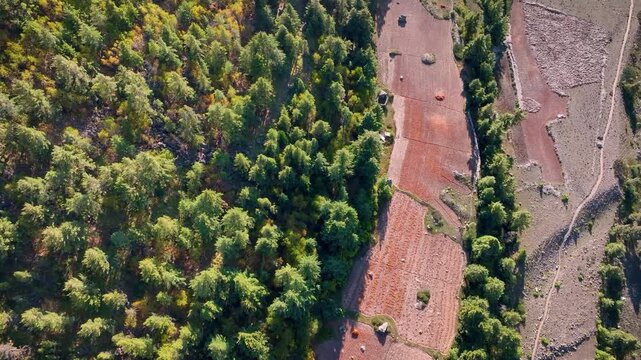 Aerial view of Deforestration for agricultural land-use change in the Himalayas, India