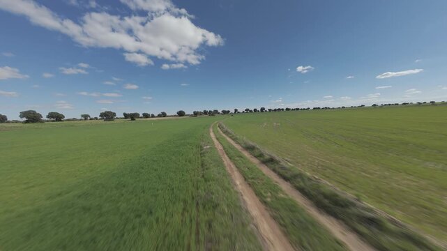 Vuelo de dron en prado verde