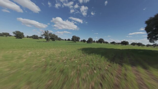 Vuelo de dron en prado verde