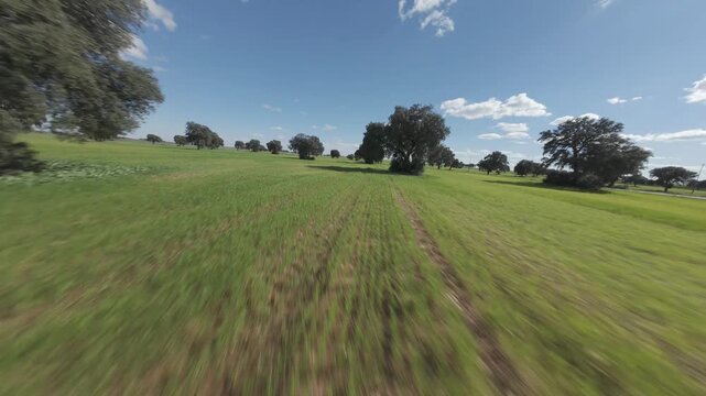 Vuelo de dron en prado verde