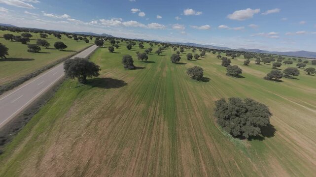 Vuelo de dron en prado verde