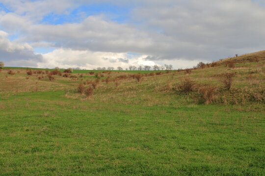 A grassy field with trees in the background