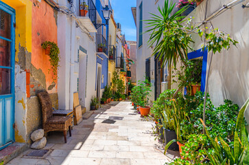 Obraz premium Alicante old town San Roque quarter, narrow street with typical houses, traditional colorful buildings, flowers and plants, Casco Antiguo Alicante city historical centre, Valencian Community, Spain