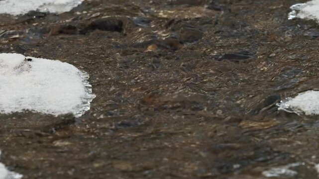A serene river flows with patches of ice, reflecting soft winter light and creating a calm atmosphere.