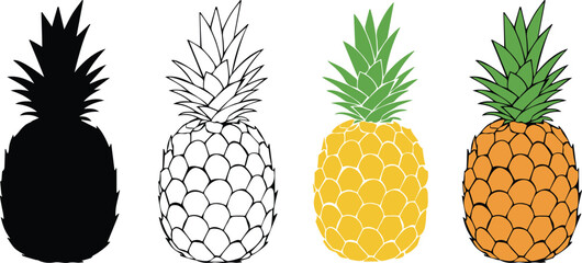 Fototapeta premium Vector collection of four pineapples, a symbol of tropical food - Silhouette, outline, flat color and detailed illustration