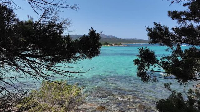 Sea view through trees natural coastal landscape Italy Sardinian Rena Bianca 