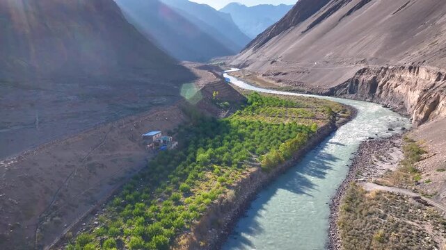 Cinematic aerial Shot of Lush green high-altitude apple orchard farm on banks of spiti river in Himalayan cold desert, India