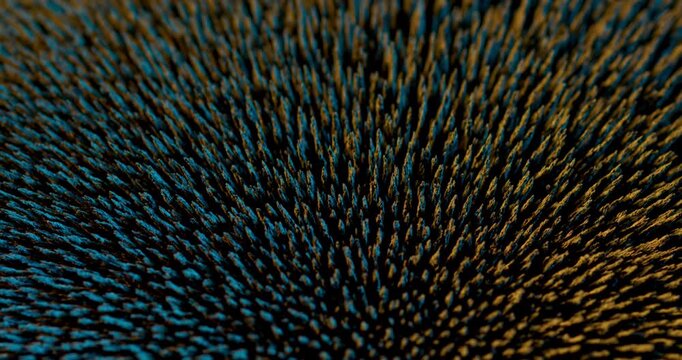 Be mesmerized by stunning abstract footage of metal particles reacting to a magnetic field. This is perfect for enhancing your motion graphics and creating captivating visual effects