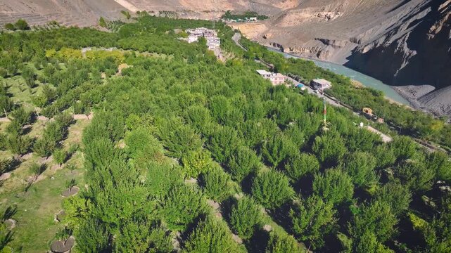 Cinematic aerial Shot revealing Lush green high-altitude apple orchards and remote farming villages in Himalayan cold desert, India