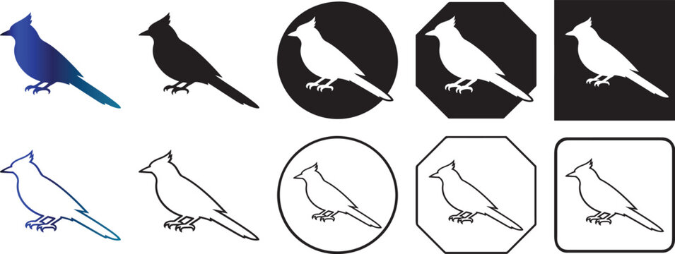 Colorful blue jay silhouette vector illustration.
