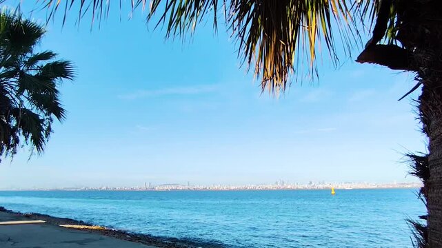 Scenic View of Istanbul City Skyline and Camlica Tower Across the Blue Marmara Sea Captured from Kinali Island with Palm Tree Framing - Tranquil Summer Day in Turkey