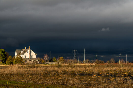 Canada, BC, Delta, Ladner.  Dramatic afternoon light illuminates bare trees, power poles and farmhouse in rural area south of Vancouver.