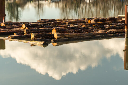 Canada, BC, Vancouver.  Log boom and clouds reflecting in still water of the Fraser River.