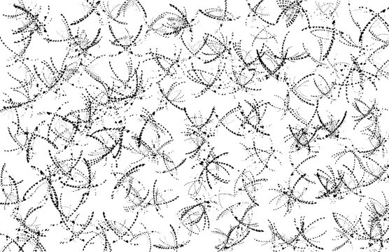 Abstract black stippled line scribbles and noise texture overlay on transparent background for creative grunge and glitchy glam effects.