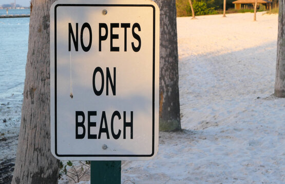 No Pets on Beach sign
