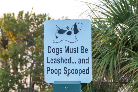 Dog Leash / Poop sign