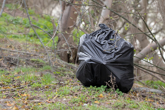 A large bag of garbage was thrown in the forest.Forest pollution by people after picnics.
