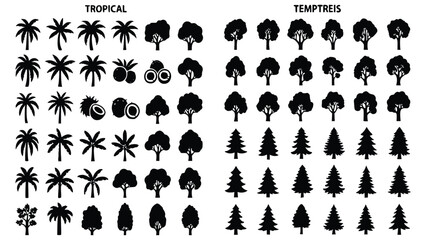 Black silhouettes of various tropical and temperate trees and fruits including palm trees pine trees coconut © Ajoy
