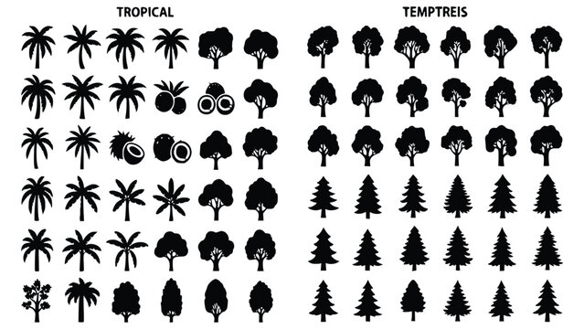 Black silhouettes of various tropical and temperate trees and fruits including palm trees pine trees coconut