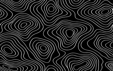 Obraz premium Minimalist abstract topographic contour pattern, smooth flowing elevation lines forming organic shapes, monochrome black lines on a light gray background