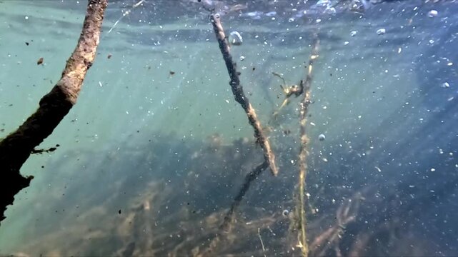 Underwater river view showing bottom with decaying branches leaves and particles as sunlight penetrates water in slow motion split level shot