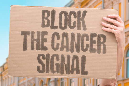 "Block The Cancer Signal" Signal transduction inhibitors block the molecular pathways that cancer cells use to grow, survive, and divide uncontrollably. CANCER. TARGET. BLOCK. SIGNAL. CELL.