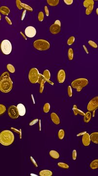 Falling bitcoin coins on purple background, seamless slow motion loop