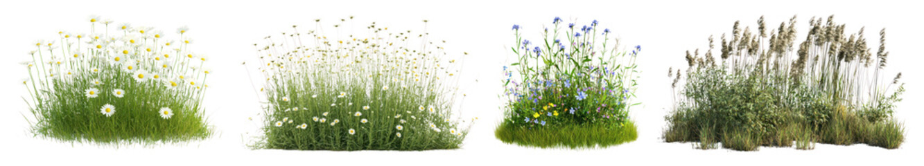 Naklejka premium PNG Lush wildflowers in natural clusters, transparent background