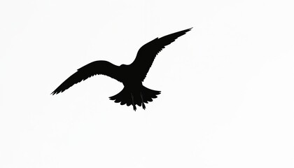 Fototapeta premium Black seagull silhouette flies against bright white sky. Bird wings are spread wide in motion. Simple, clean graphic image for various design uses.