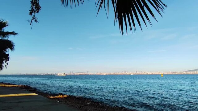 Scenic View of a White Passenger Ferry Crossing the Marmara Sea with Istanbul City Skyline on the Horizon, Naturally Framed by Palm Tree Leaves from Kinali Island Shore on a Sunny Day in Turkey