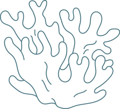 Coral Reef Outline Abstract