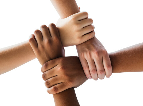 Isolated four diverse human hands interlocking, symbolizing multiracial unity, teamwork, and support.