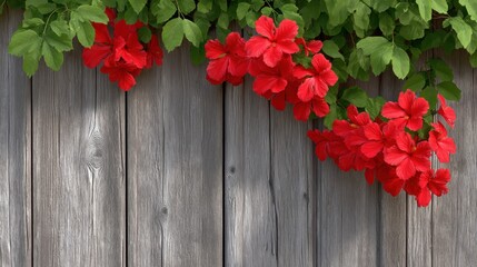Fototapeta premium Beautiful Red Flowers Cascading Over Rustic Wooden Planks, Perfect for Nature, Spring, and Floral Backgrounds to Enhance Visual Aesthetics and Serenity