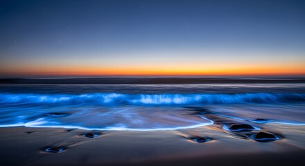 Fototapeta premium Bioluminescent waves crash gently against the dark wet sand during a peaceful evening as light glows along the shoreline edge