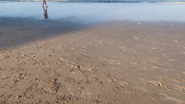 Beach relaxing walk summer day