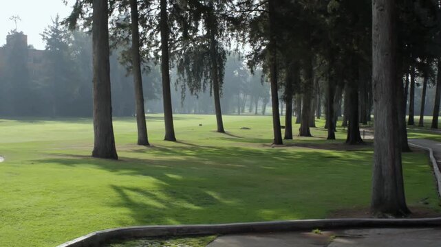 Paisaje de club de golf exclusivo con &aacute;rboles altos y ambiente brumoso.