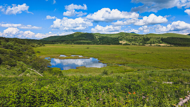 霧ヶ峰高原に広がる八島ヶ原湿原