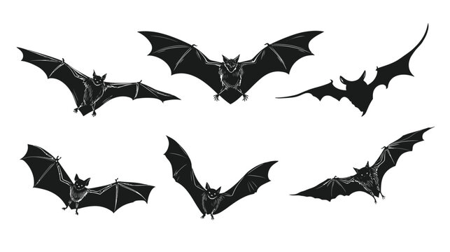 Black bat silhouettes in various flying poses against a white backdrop
